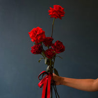 Rouge (6 Stems)