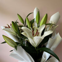 White Oriental Lillies En Masse (Order 2 days in advance)