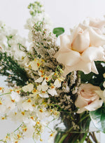 Whites + Neutrals