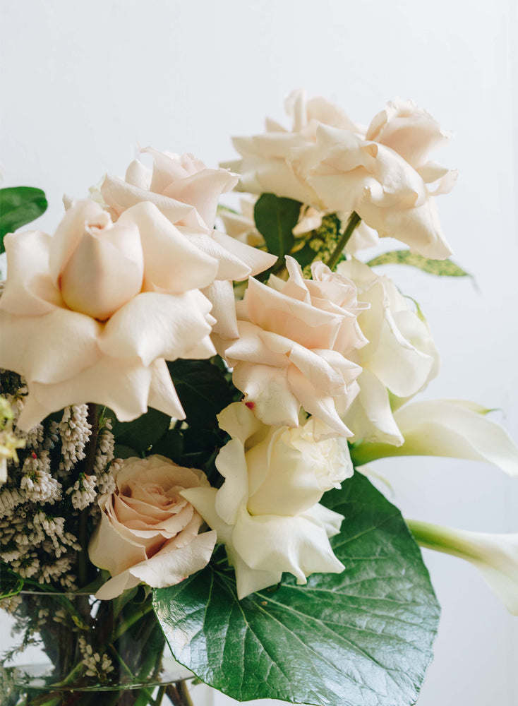 Whites + Neutrals