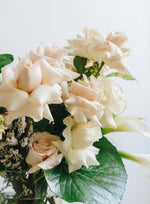 Whites + Neutrals